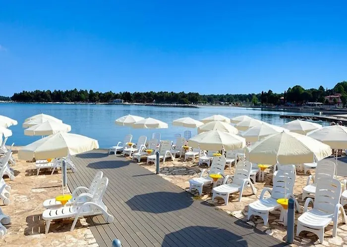 Отель Plava Laguna 4*